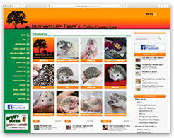 Critter Connection Blog
