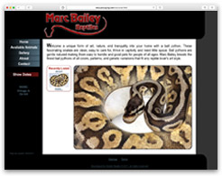 Marc Bailey Reptiles